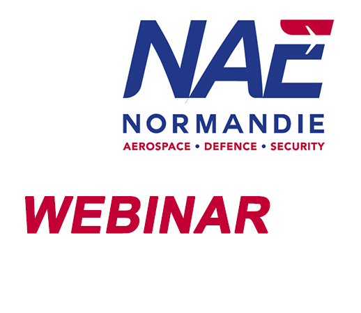 Logo NAE webinar