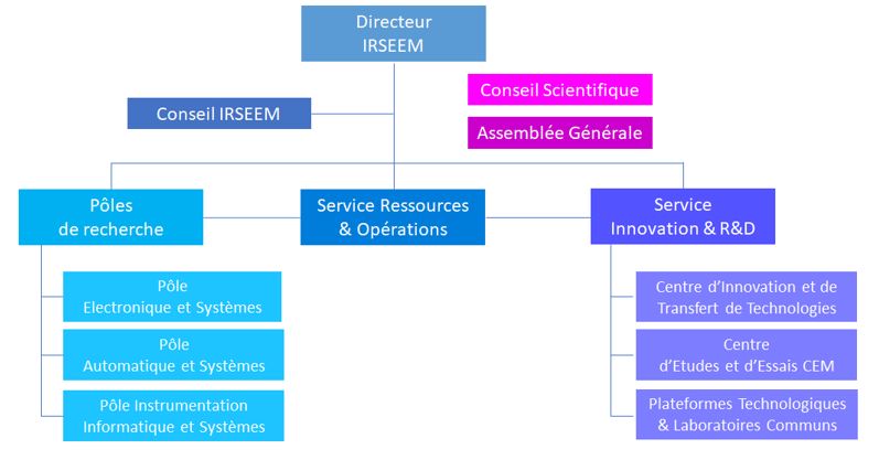 organigrammeIRSEEM.JPG